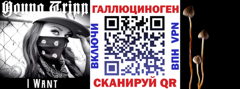 Купить закладки  Минеральные Воды  Псилоцибиновые грибы ЛСД 